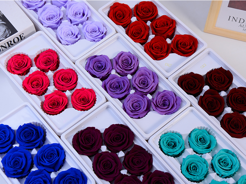 Multiple color options for 5-6cm preserved rose heads