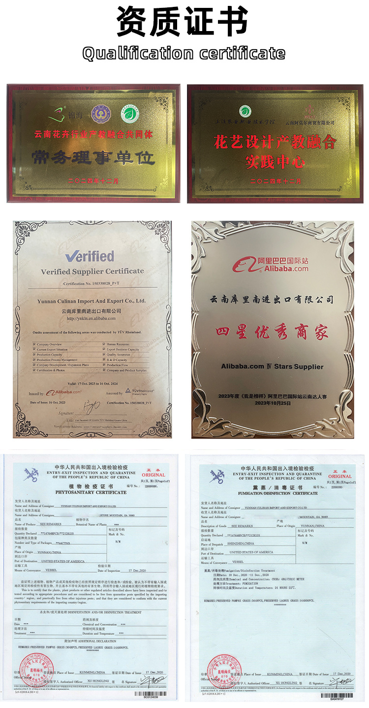International export certificate for preserved flowers, plant quarantine certificate, fumigation certificate