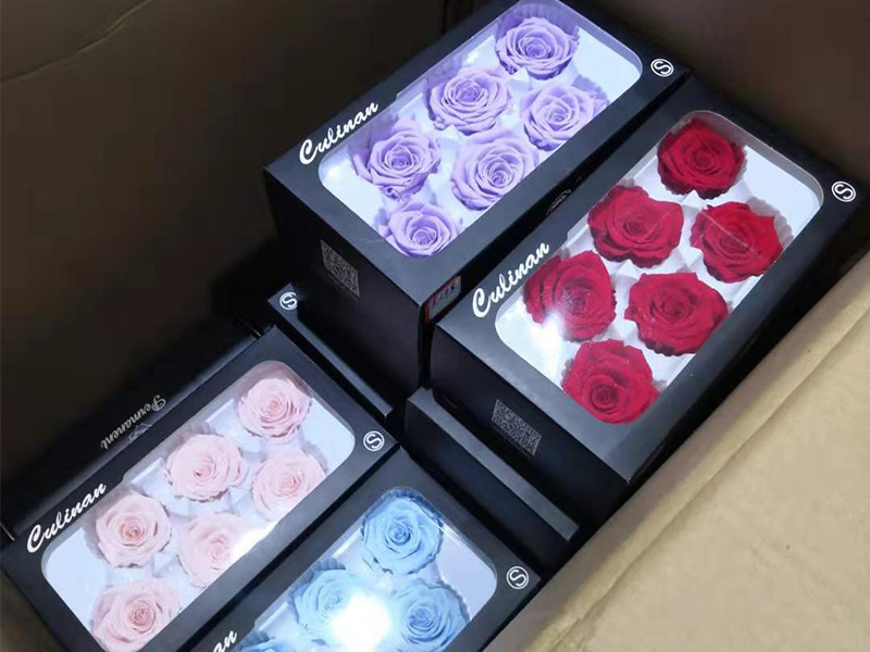 Customized blue, lavender and red preserved roses for brand events