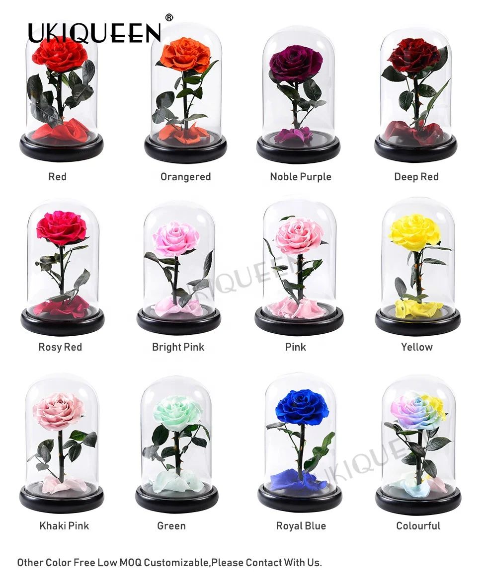 Preserved roses in glass covers in various rose colors