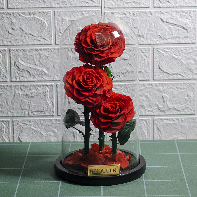 Three preserved roses with stem in glass dome