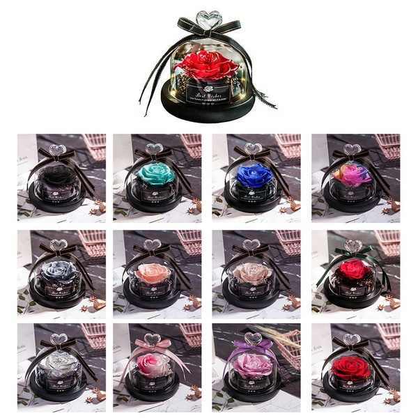 Multi-color preserved rose dome options