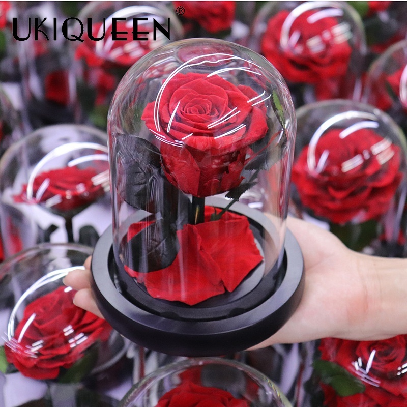 Mini Preserved Rose Glass Dome 10×18cm