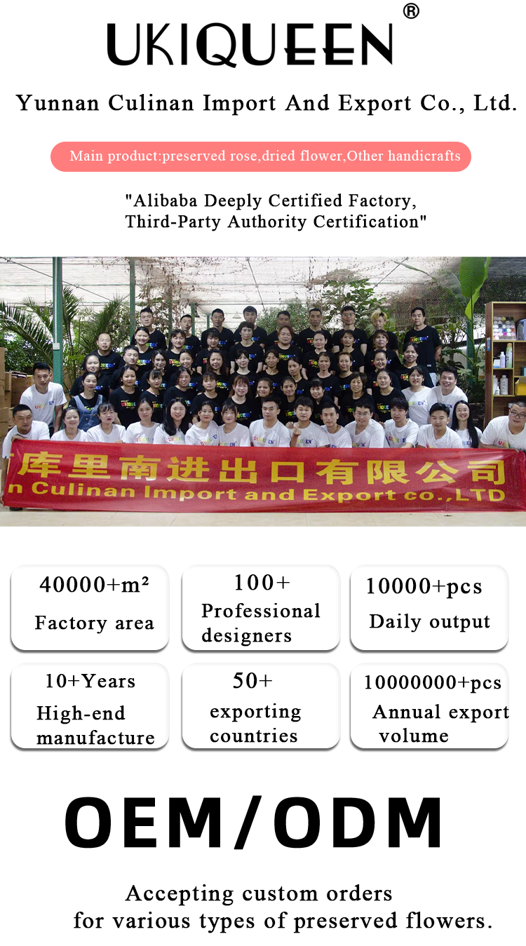 Cullinan Preserved Flower Factory Introduction Infographic