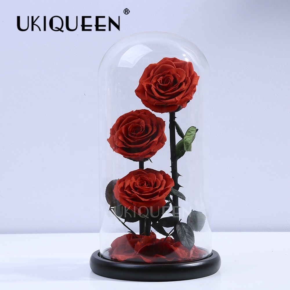 3 preserved roses in glass dome 15*30cm