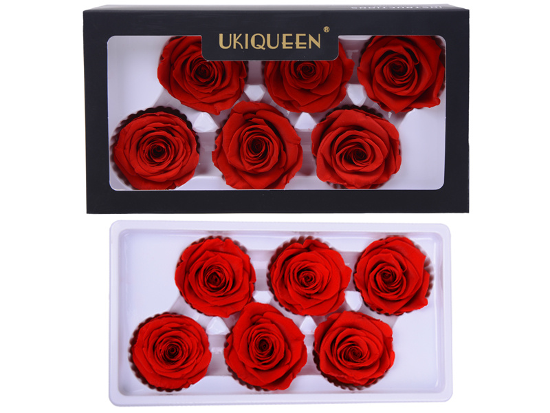 6pcs large preserved rose heads 5-6cm in PET box
