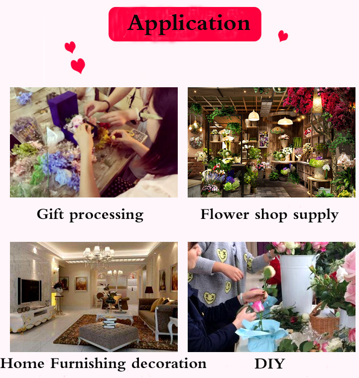 Application scenarios of Eternal Austin Rose