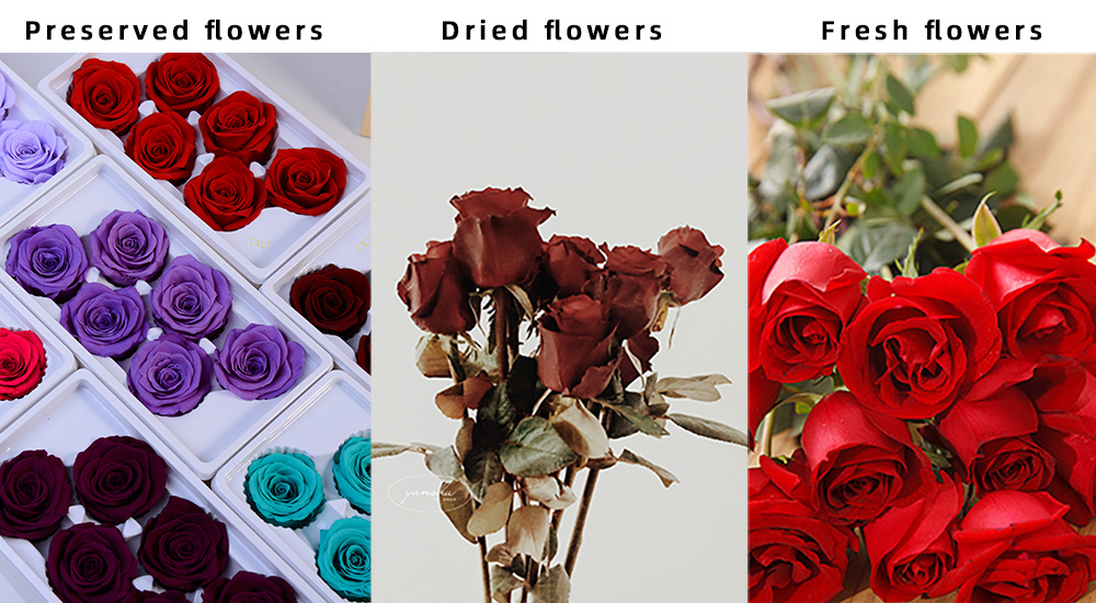 Visual comparison between preserved and fresh flowers used in event design