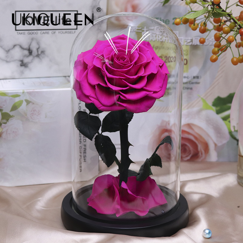 Preserved Rose Glass Dome 12×20cm