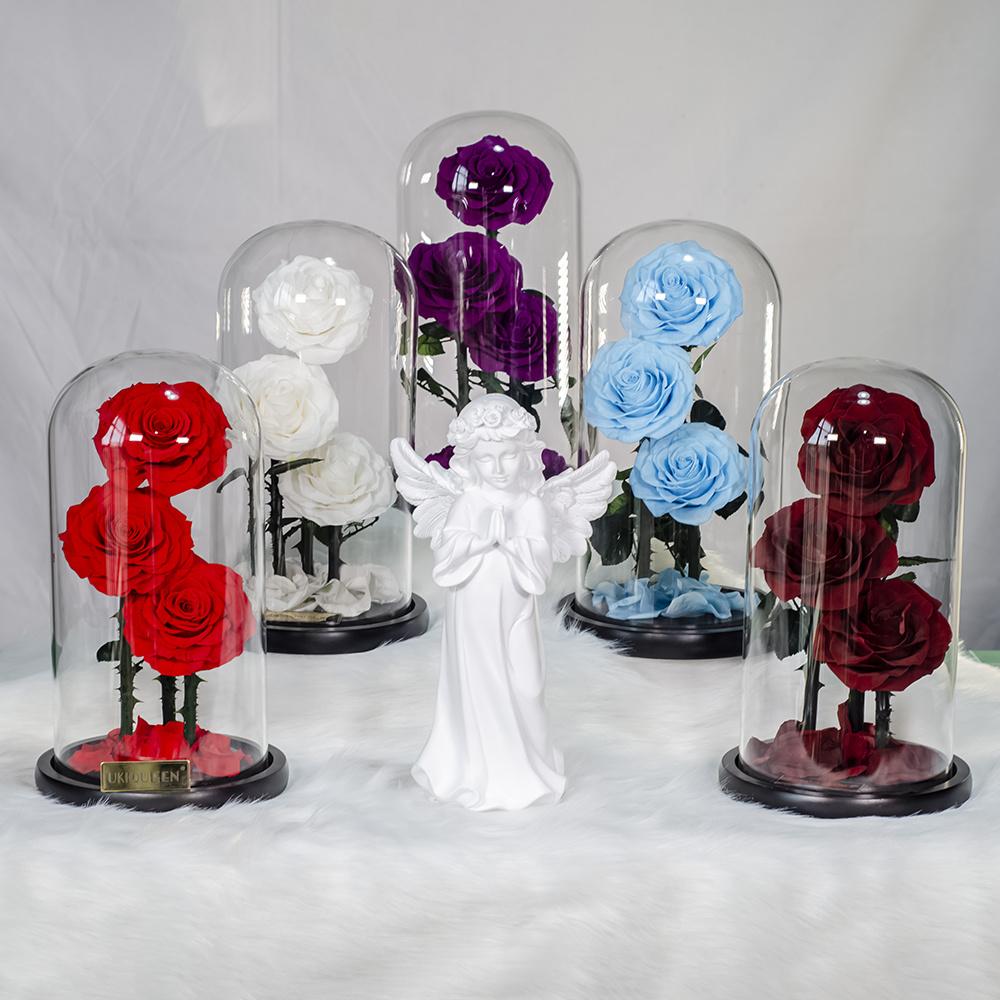 Multi-color preserved rose dome 