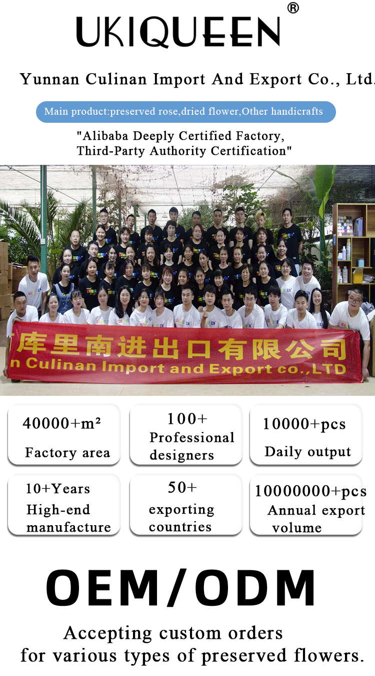 Cullinan Preserved Flower Factory Introduction Infographic