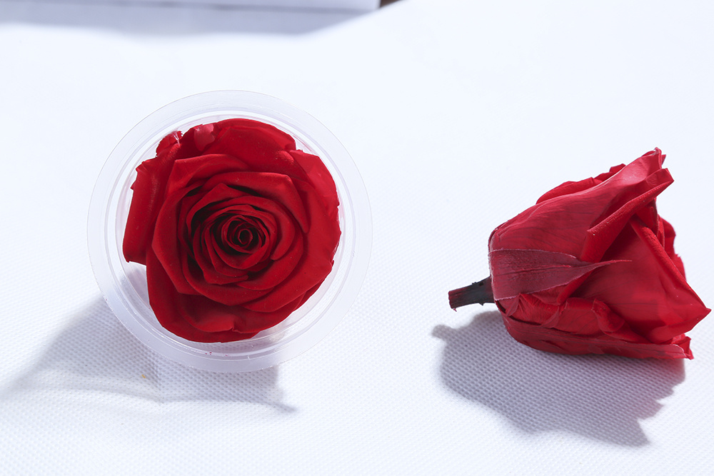 Various sizes of wholesale preserved roses for event planners