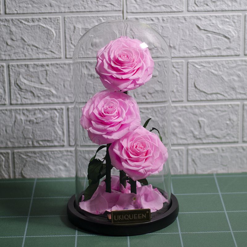 Preserved Flower in Glass Cover Three Roses - Valentine's Day Gift