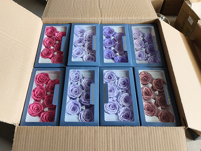 Various sizes of preserved rose heads for DIY kits, packaging, and floral design