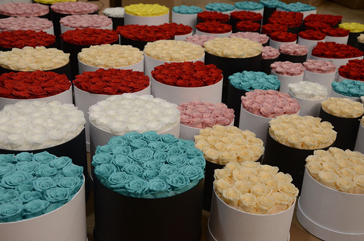 Why Preserved Roses Are Replacing Fresh Flowers in the Event Industry Why Preserved Roses Are Replacing Fresh Flowers in the Event Industry