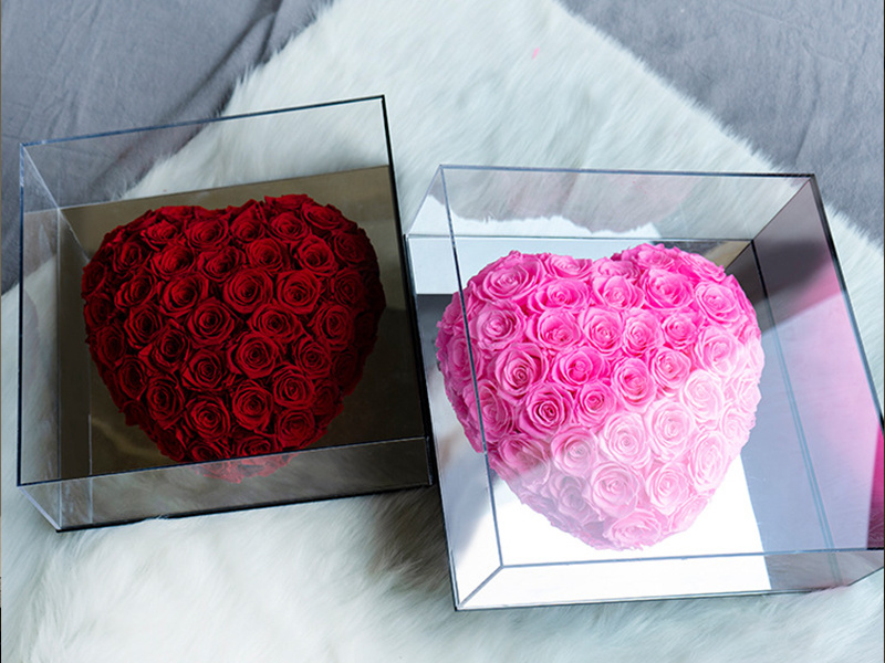 Acrylic box preserving eternal rose gift – prevents dust and physical damage