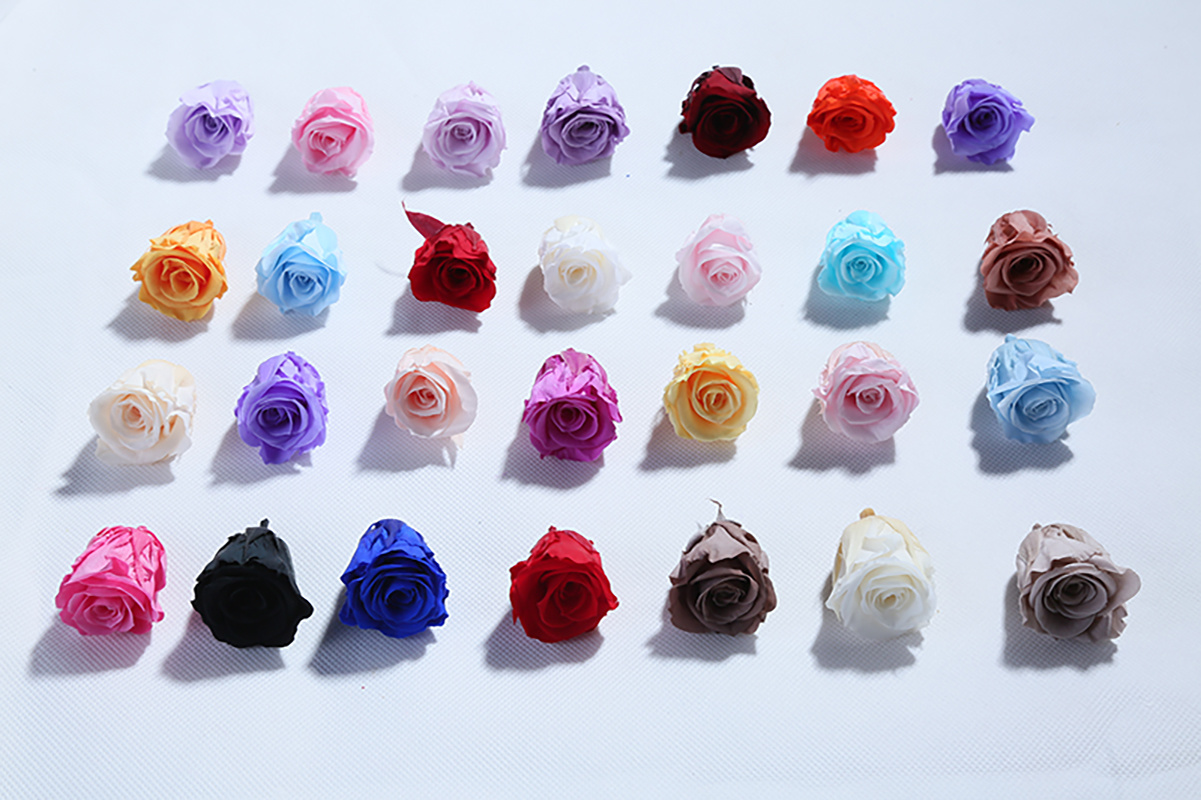 Various colors of preserved rose heads for wholesale, A grade quality, ideal for floral crafts