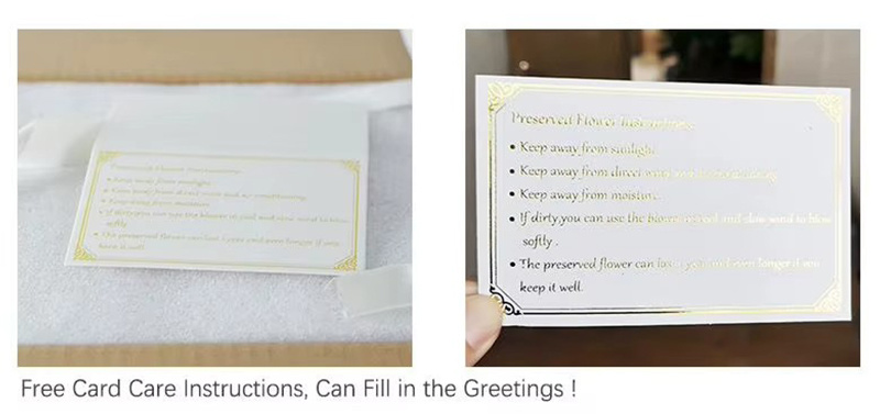Preserved flower box with protective packaging and care instruction card