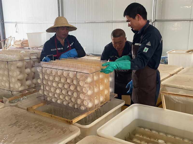 Dehydration tanks used to remove moisture from roses