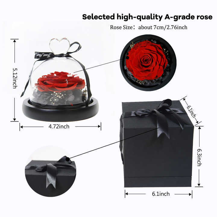 Preserved Rose Dome Size