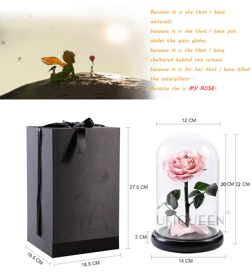 Size of the preserved rose in the glass cover