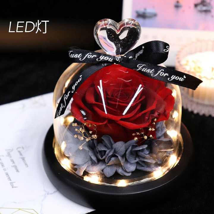 Preserved rose glass dome with LED light