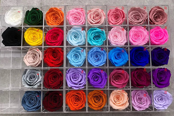 High Quality Preserved Roses in Different Colors
