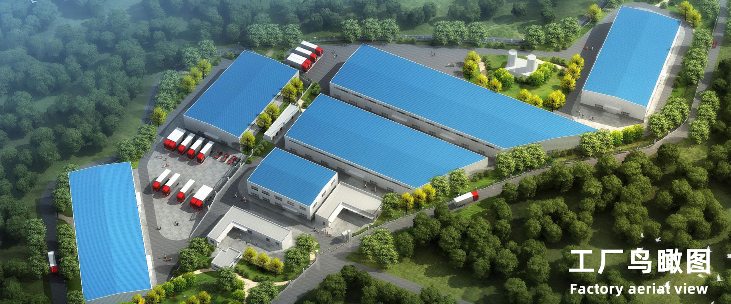 China Preserved Flower Factory