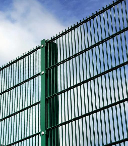 Professional Mesh Professional Mesh