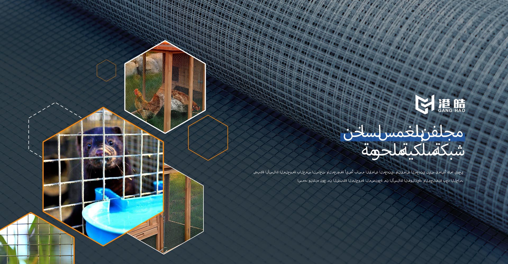 مصنعة شبكات الأسلاك بينغ روي