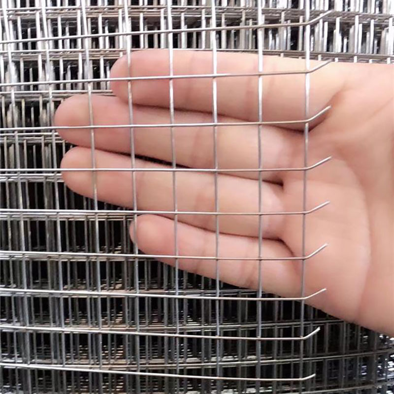 Stainless Steel Welded wire Mesh
