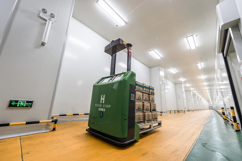 AGV transport AGV transport