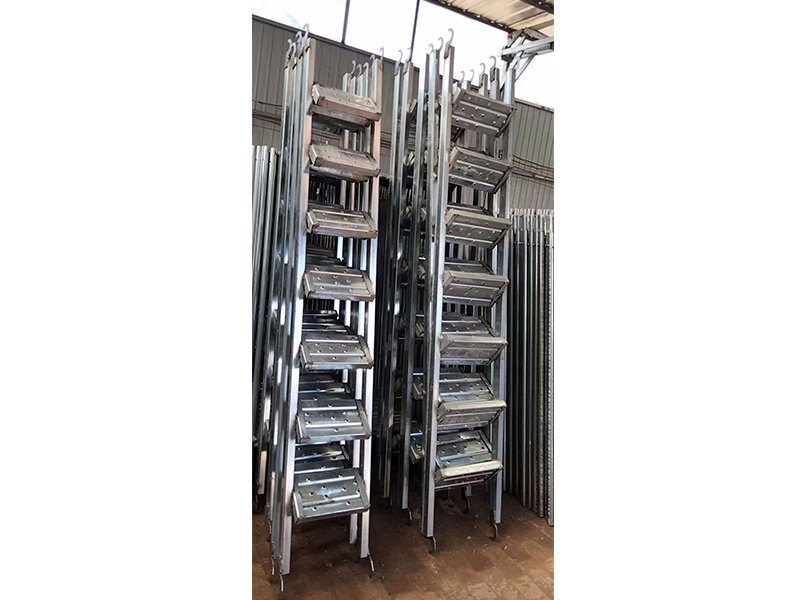 Scaffold ladder