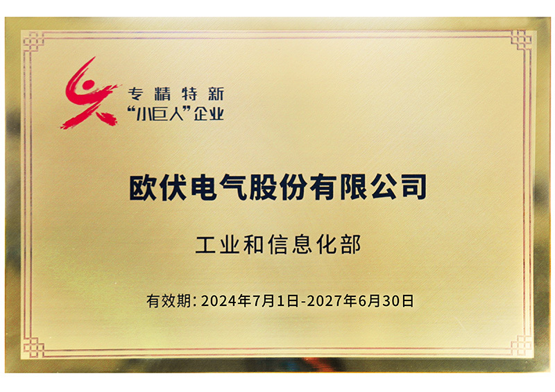 专精特新小巨人证书