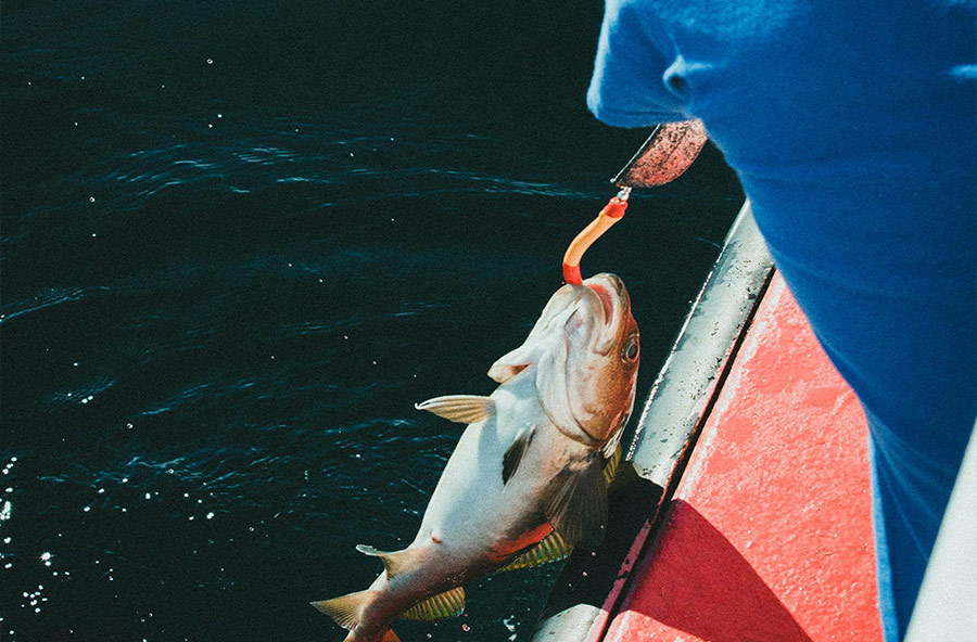 False bait fishing techniques