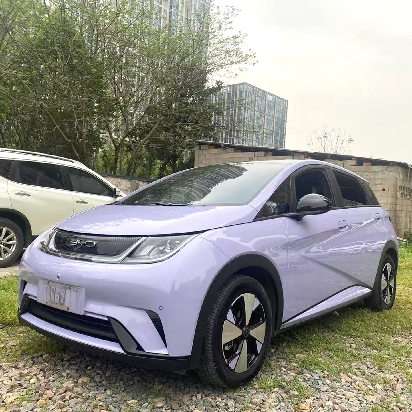 2023 BYD Dolphin 420km Fashion Edition