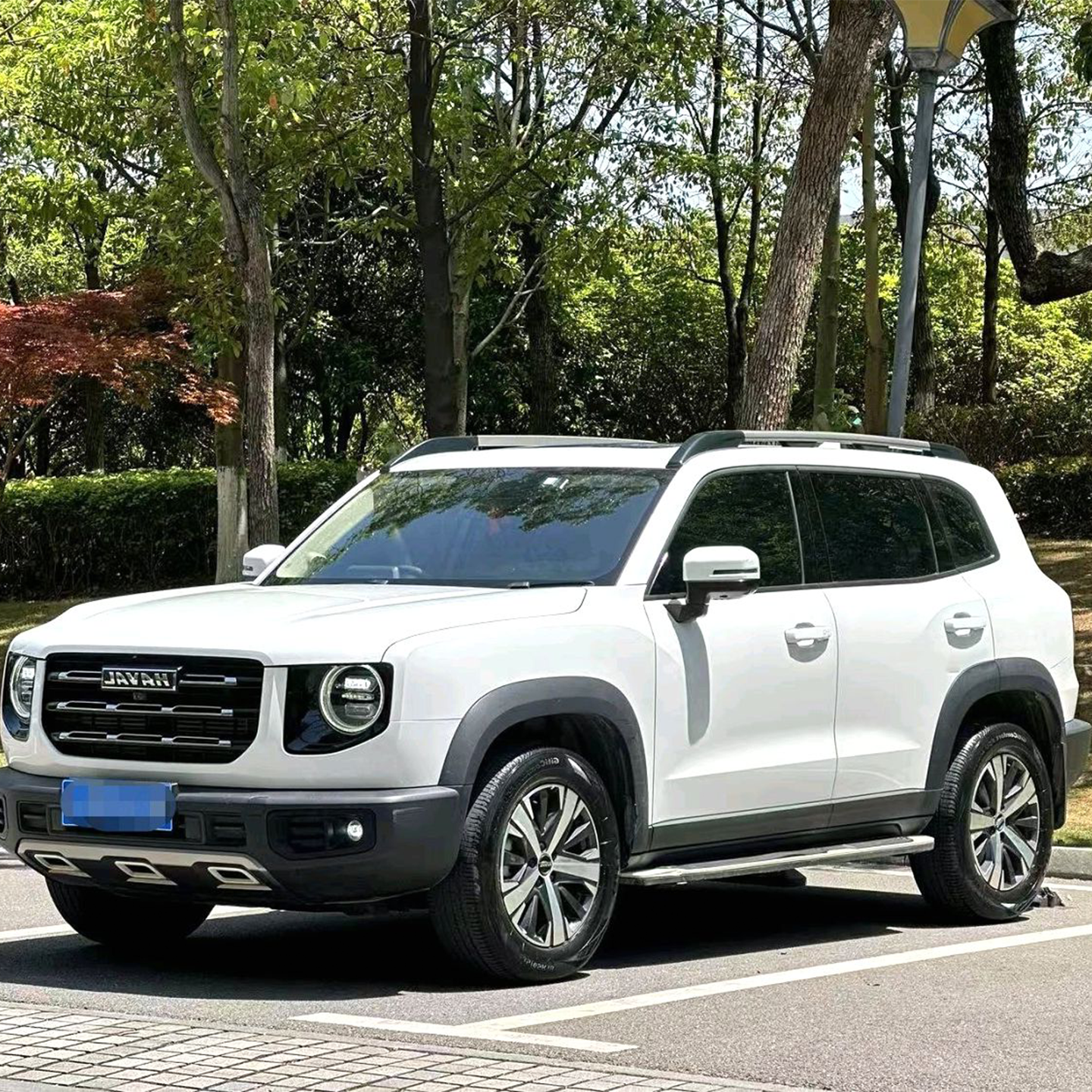 2020 Haval Big Dog 1.5T Labrador Edition Automatic Transmission