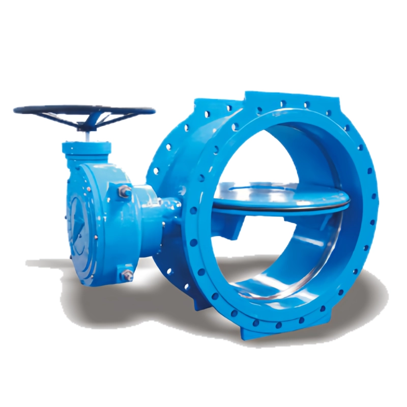 Double Flanged Valve
