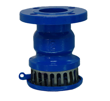 customized Cast Iron Valve from China manufacturers