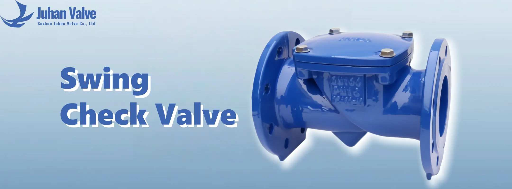 Swing Check Valve Product Image