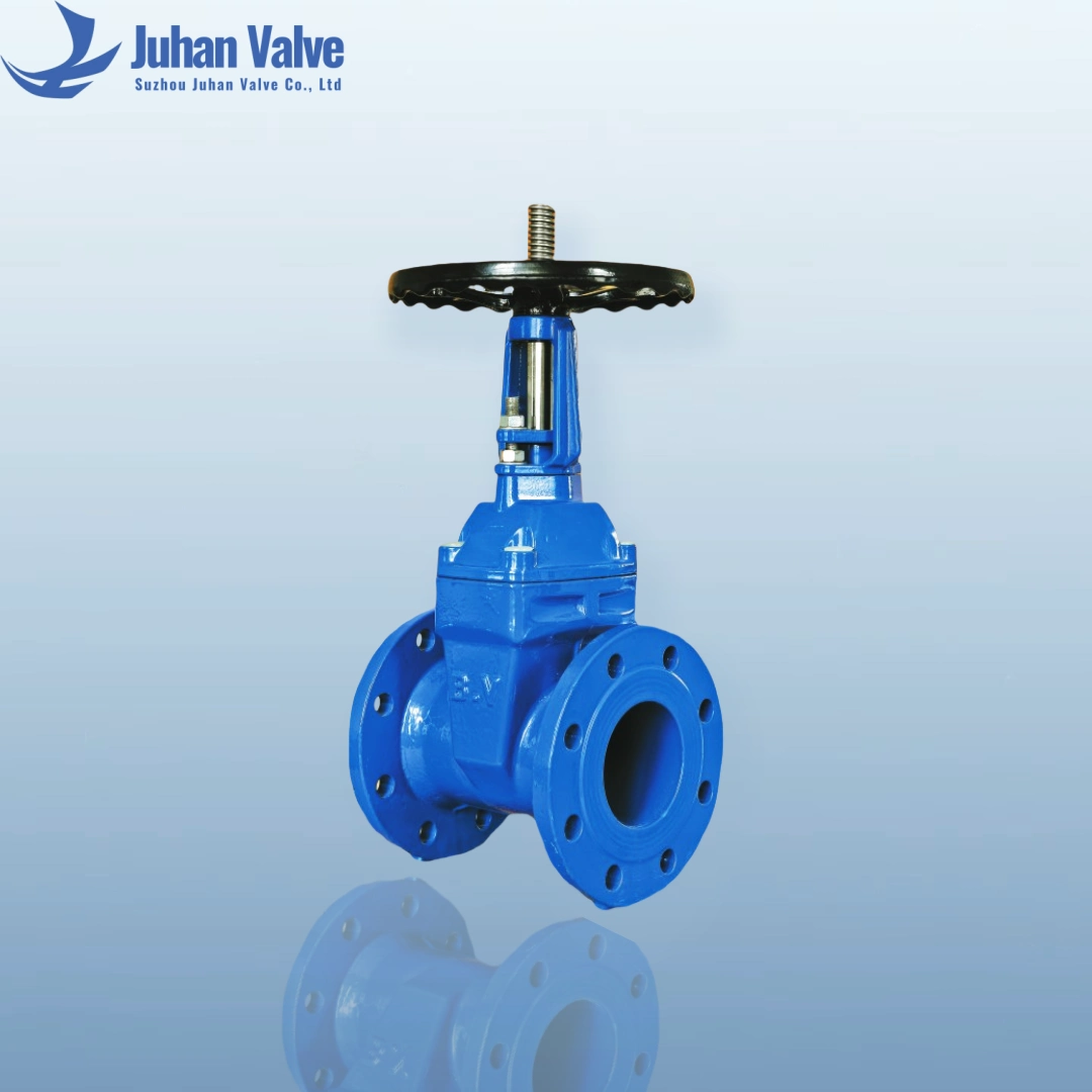 Resilient Seated Gate Valve OS&Y