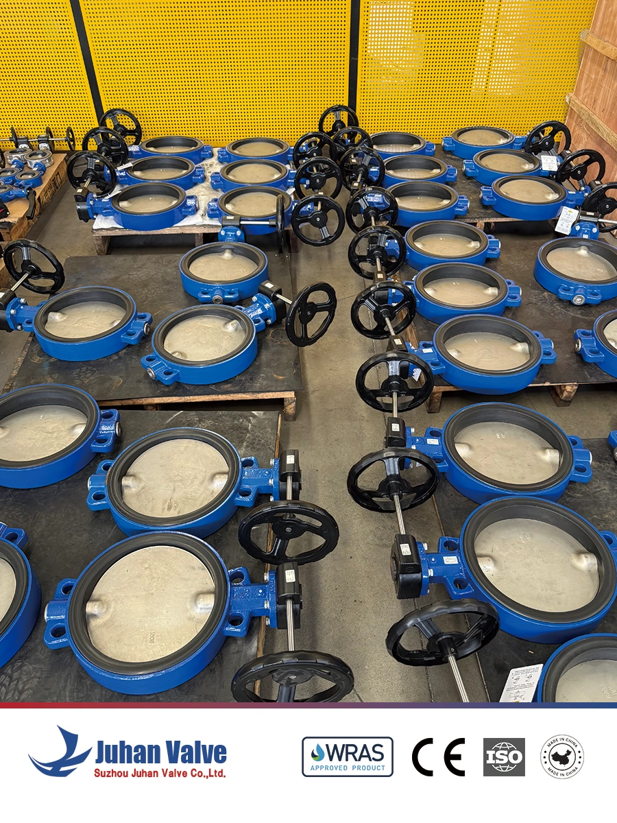 Water system valves