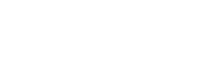 鹰球集团