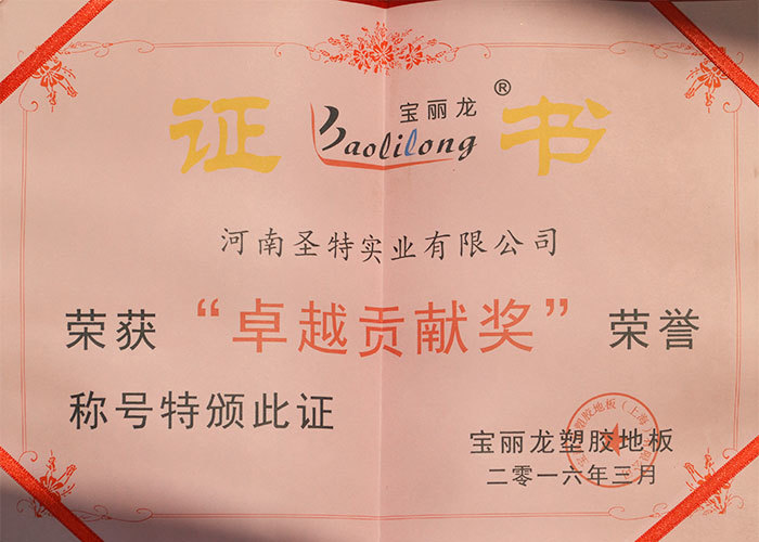 卓越貢獻(xiàn)獎