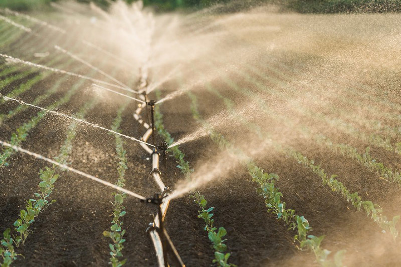 Water pump technology upgrade: Agricultural irrigation ushers in new developments Water pump technology upgrade: Agricultural irrigation ushers in new developments