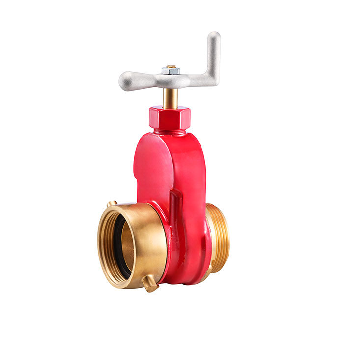 Bronze Gate Valve