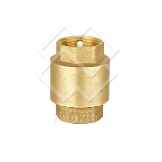 Spring Check Valve