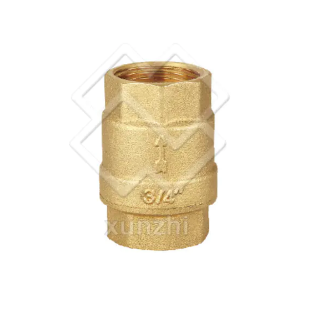 Spring Check Valve