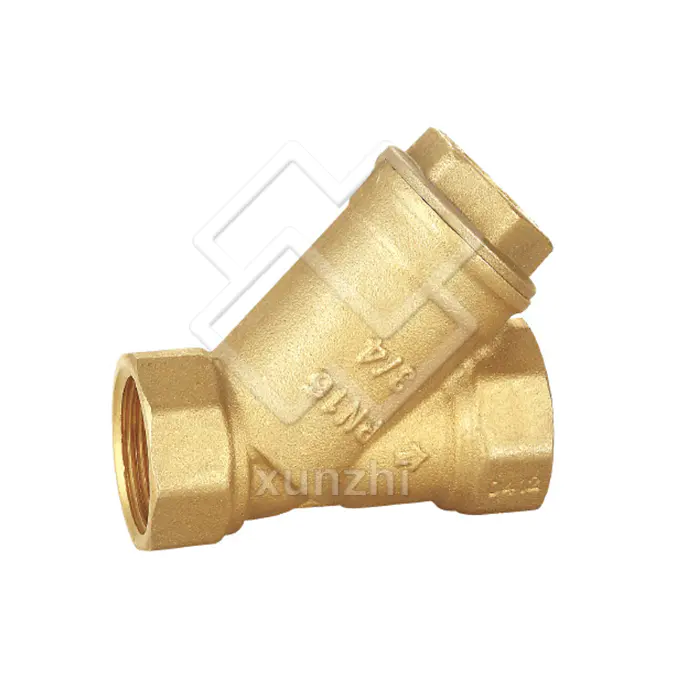 Y Strainer