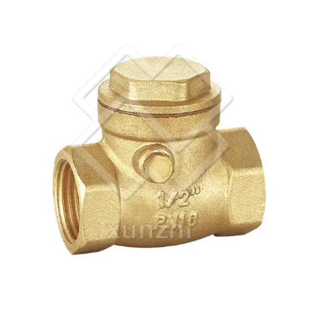 Swing Check Valve